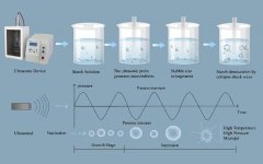 化物所颁发超声辅帮改性淀粉综述文章